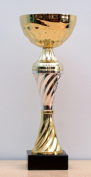 Кубок в турнире по интеллектуальной игре «Ворошиловский стрелок»