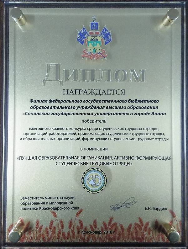 Диплом победителя в краевом конкурсе студенческих трудовых отрядов